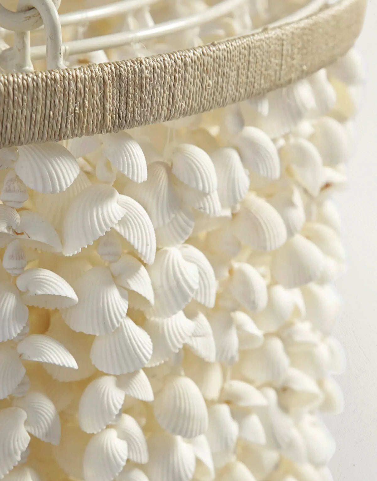 Aptora Shell Chandelier