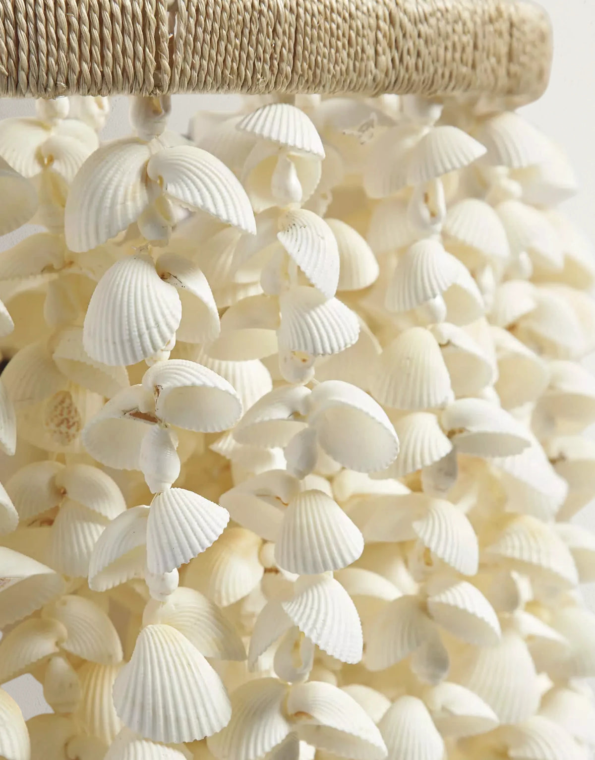 Aptora Shell Sconce