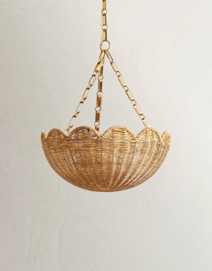 Scallora Chandelier
