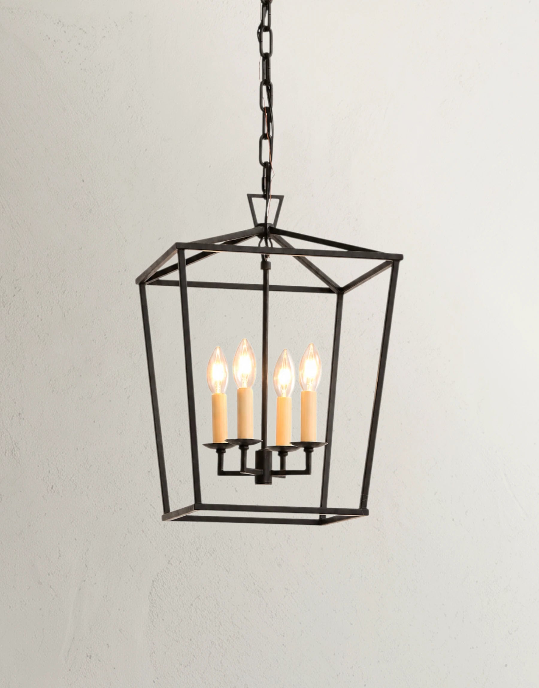 Seldora Chandelier