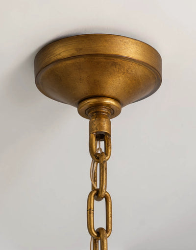 Seldora Chandelier