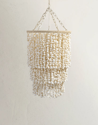 Aptora Shell Chandelier