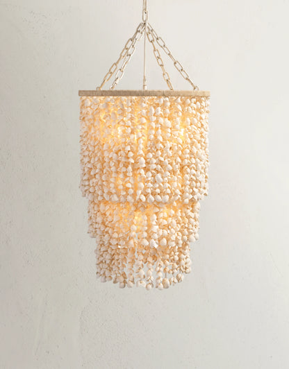 Aptora Shell Chandelier