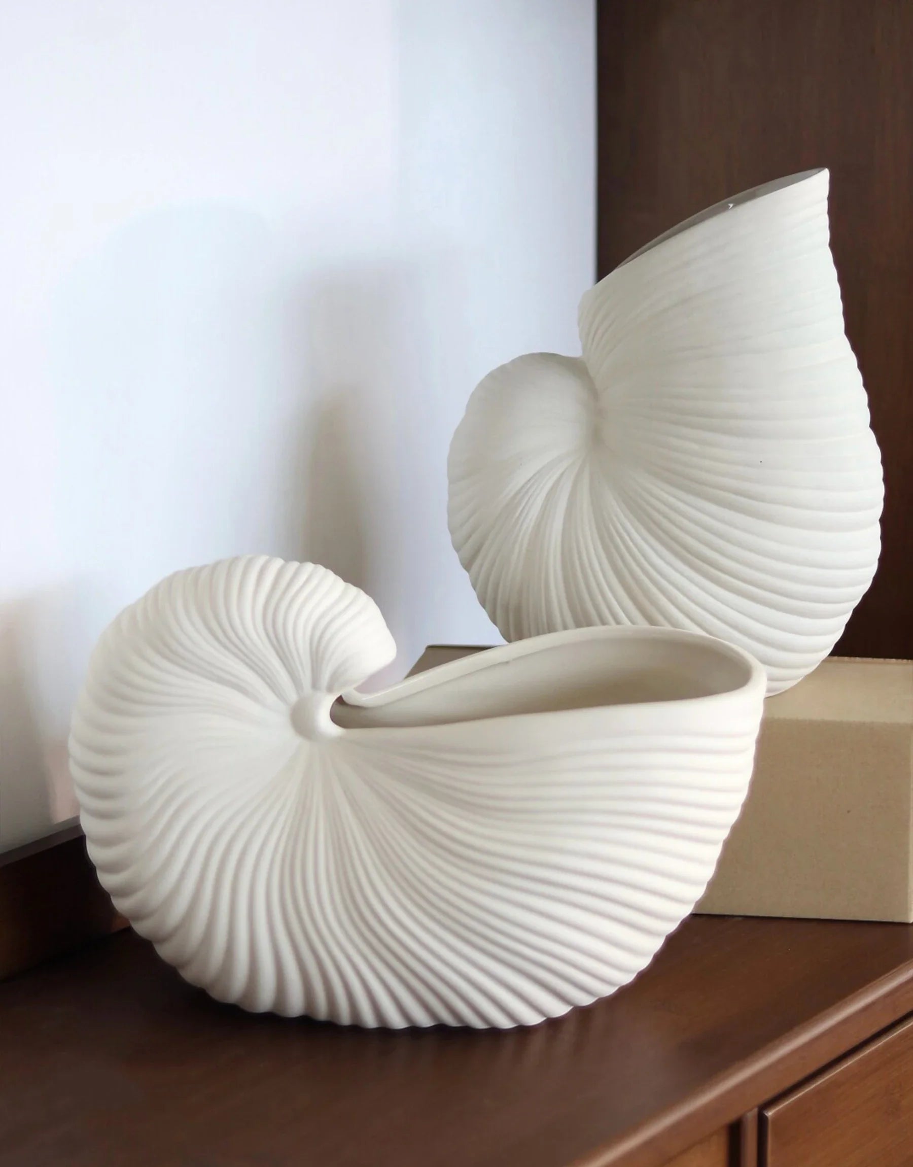 Calliope Hand-Carved Nautilus Shell Ceramic Vase