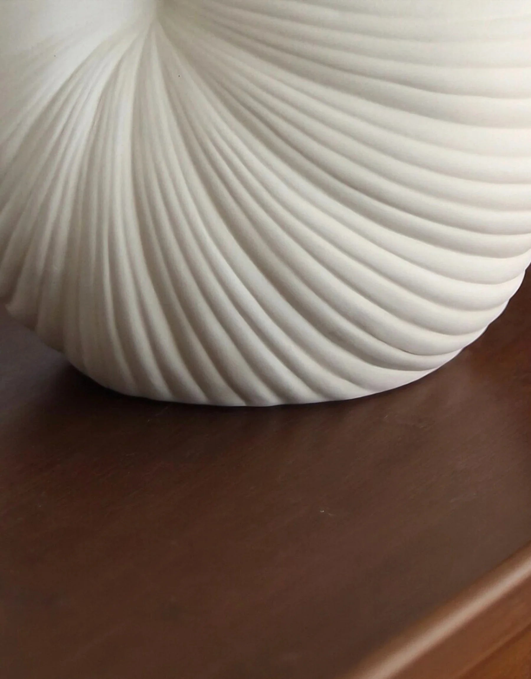 Calliope Hand-Carved Nautilus Shell Ceramic Vase