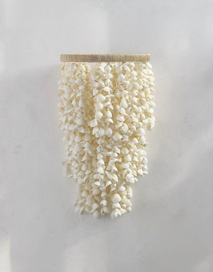 Aptora Shell Sconce
