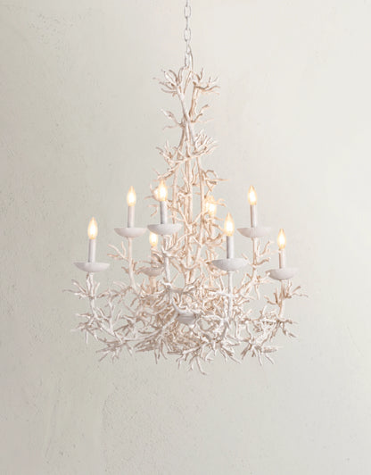 Coralle Chandelier